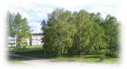 image010